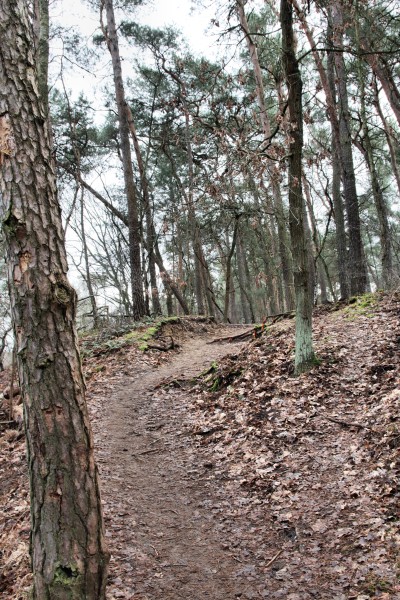 Naturlehrpfad