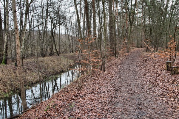 Glasowbachniederung
