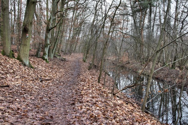 Glasowbachniederung