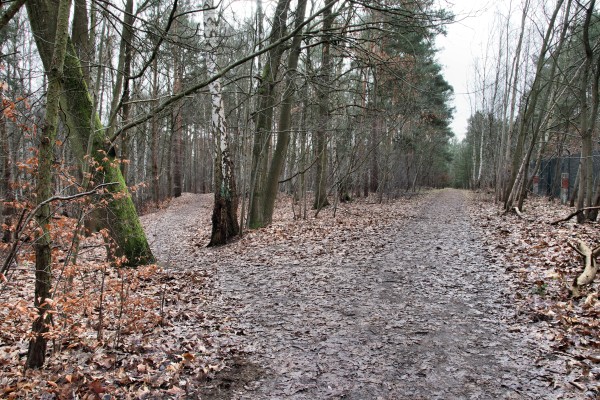 Naturlehrpfad