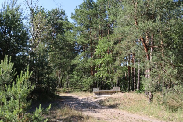 Waldweg Borgsdorf