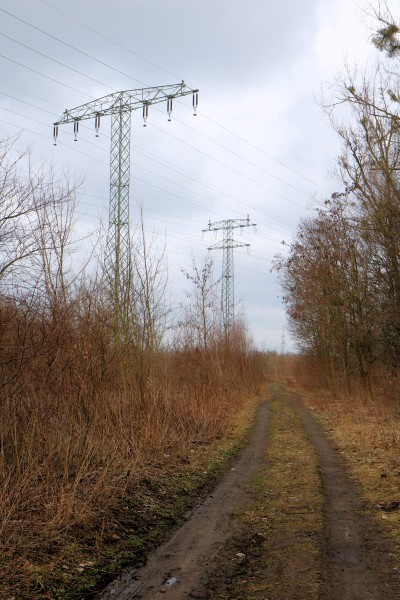 Uferweg Havelkanal