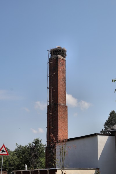 Storchennest