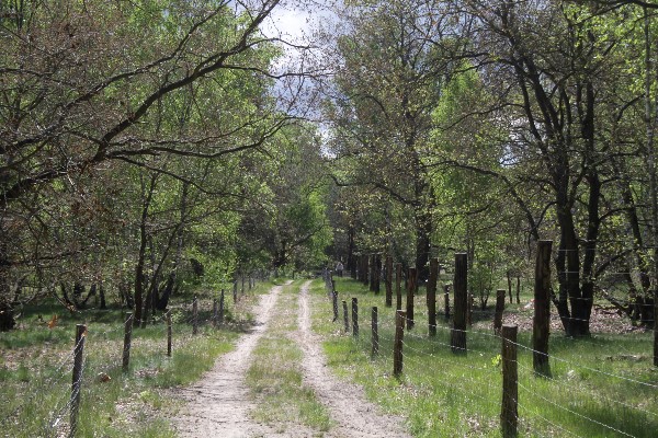 Döberitzer Heide