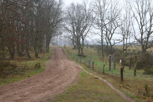 Döberitzer Heide