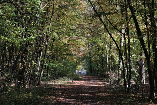 Brieselanger Weg