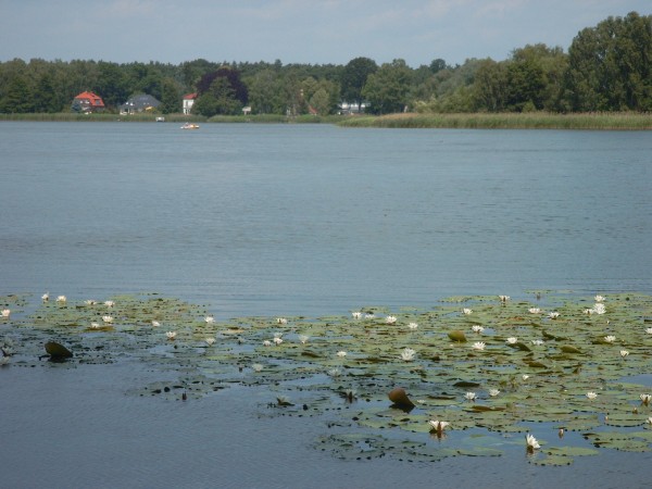 Falkenhagener See