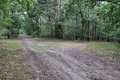 Waldweg