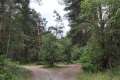 Waldweg