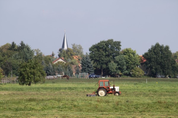 Feldflur Falkenhagen