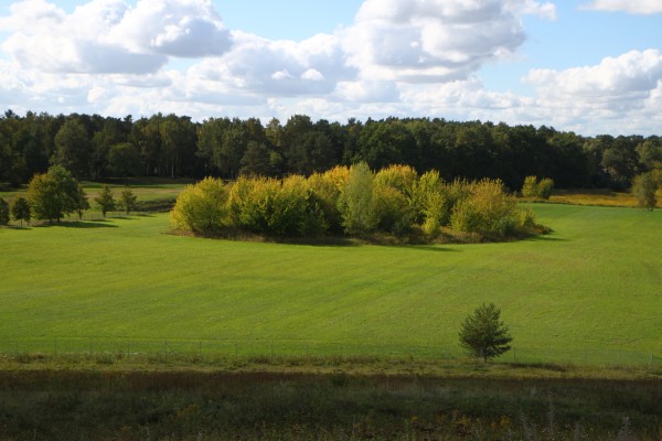 Feldflur Veltener Straße