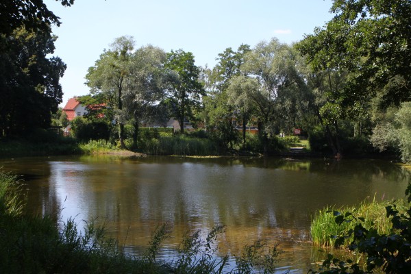 Lindenweiher