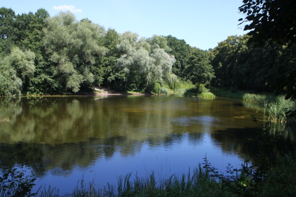Lindenweiher