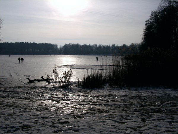 Neuer See