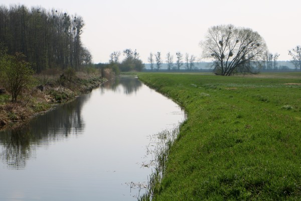 Nieder-Neuendorfer-Kanal