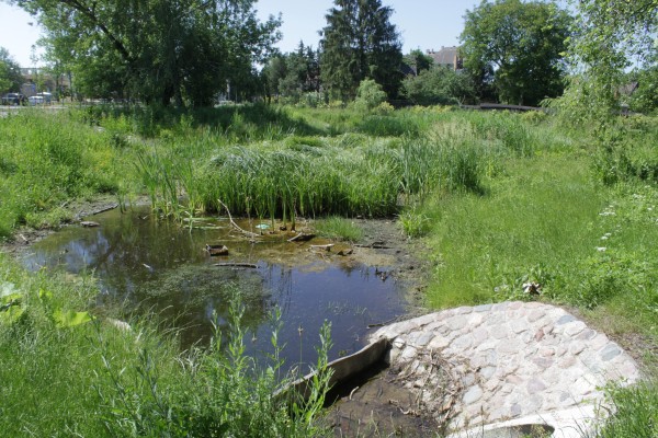 Teich Scharenbergstraße