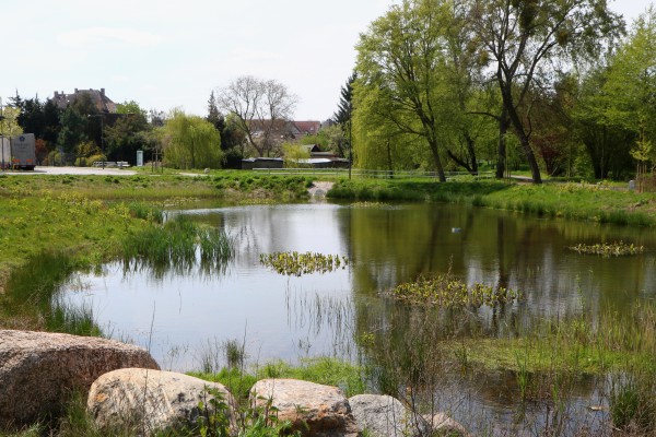 Teich Stadthalle