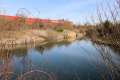 Teich 