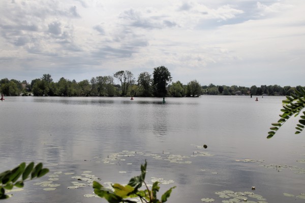 Havel