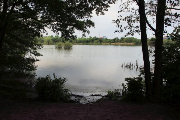 Havelauen