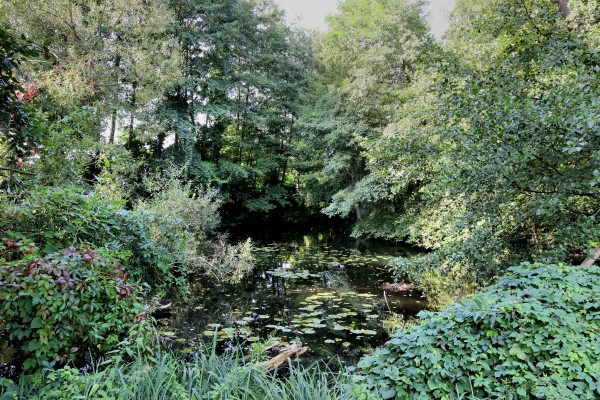 Teich