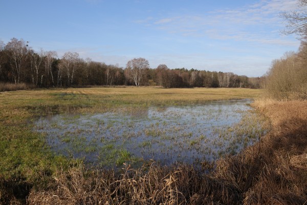 Hutungskaveln