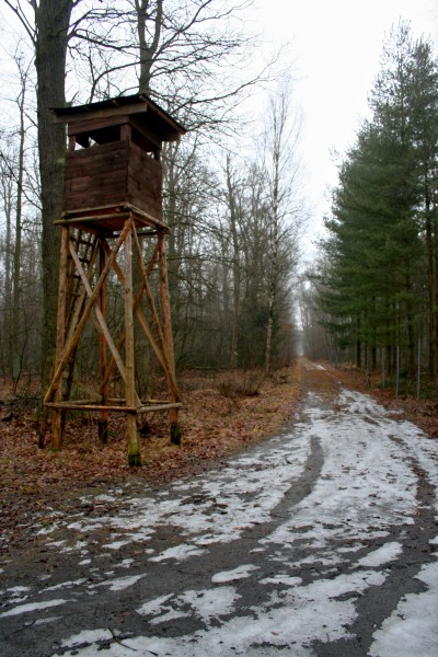 Papenberge