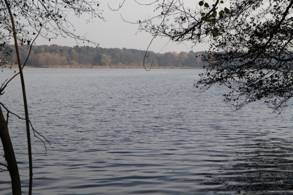 Havel
