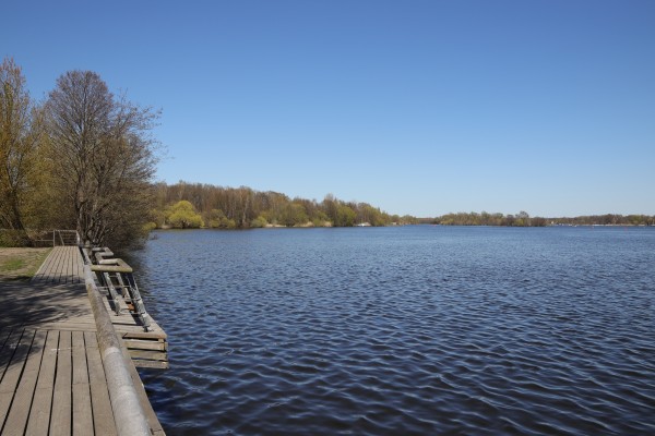 Havel