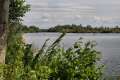 Havel