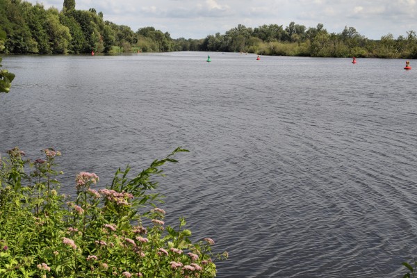 Havel