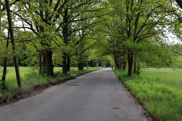 Oberjägerweg