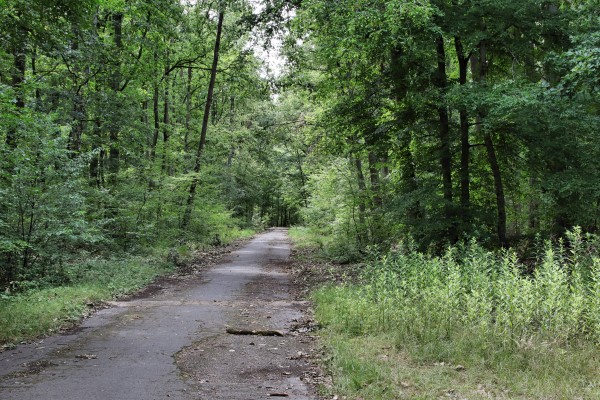Oberjägerweg
