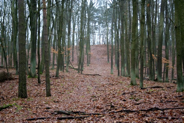 Papenberge