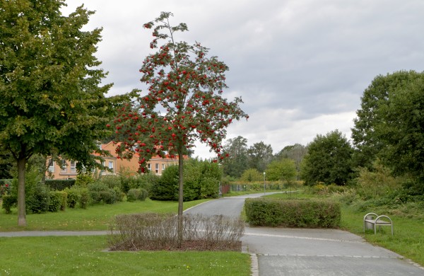 Uferpromenade