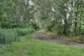 Waldweg