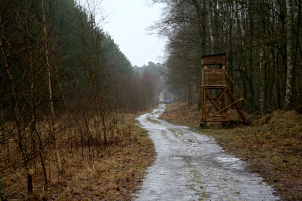 Papenberge