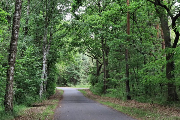 Schwarzer Weg