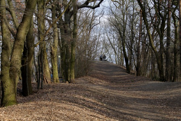 Stadtpark Conradsberg