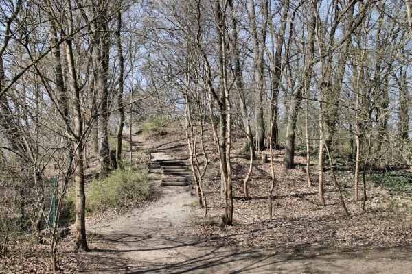 Stadtpark Conradsberg