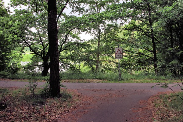 Waldweg