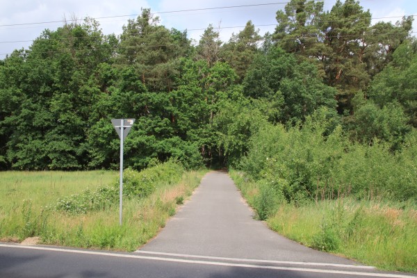 Waldweg