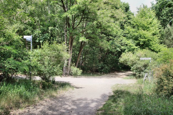 Waldjugendweg