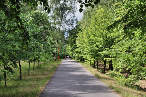 Waldjugendweg