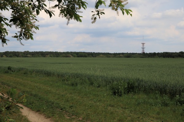 Feldflur