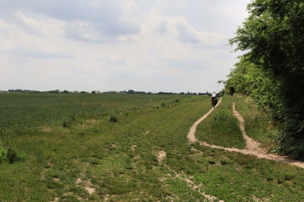 Feldweg