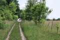 Feldweg