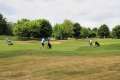 Golfclub