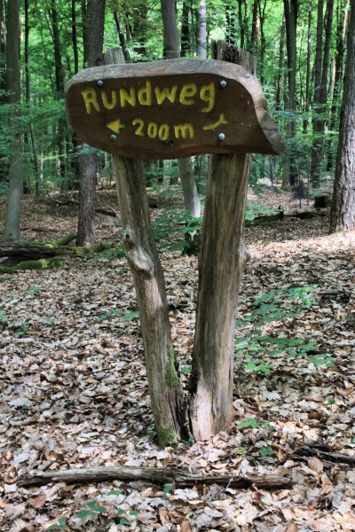 Waldweg
