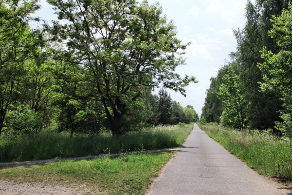 Mauerweg